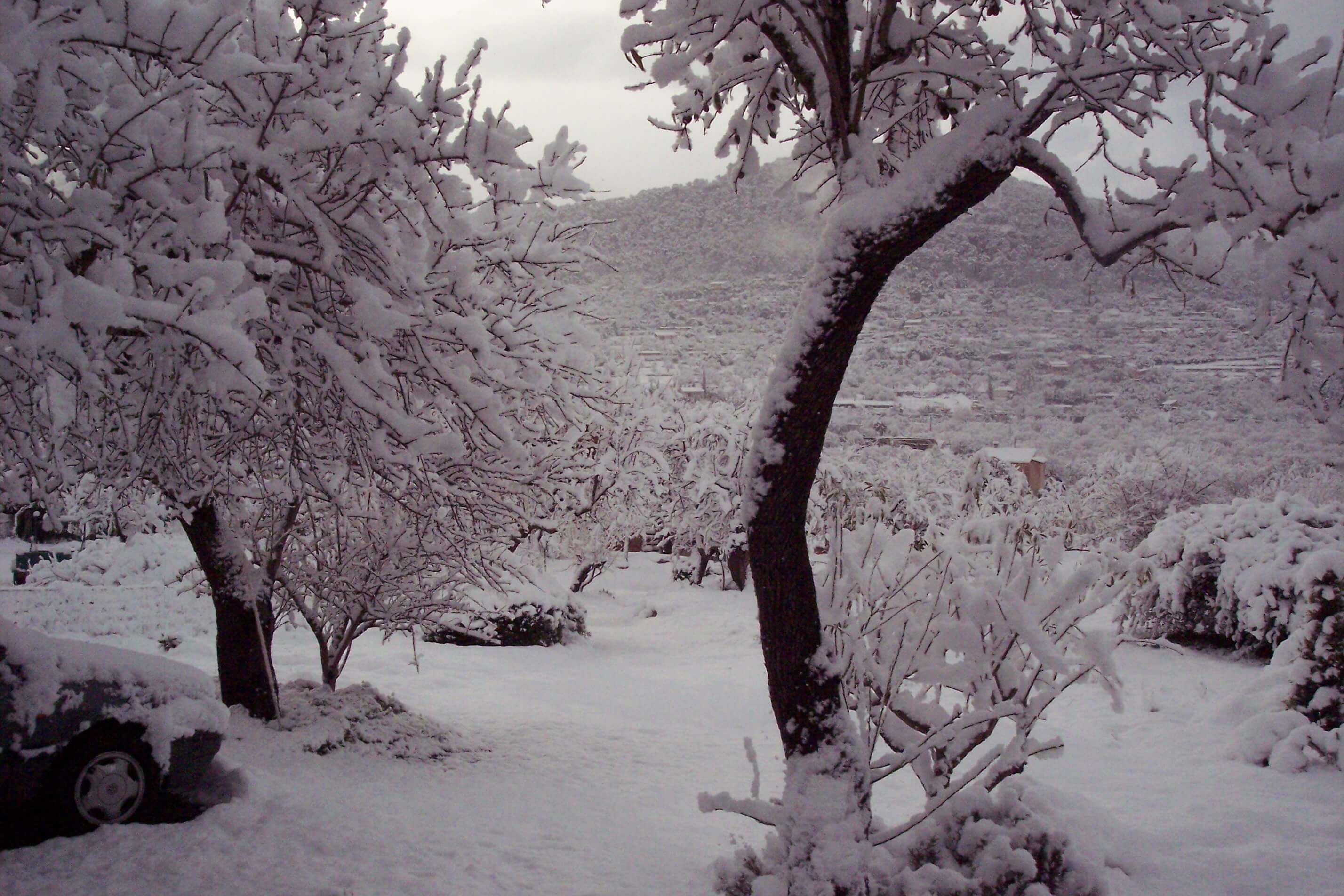 Snow Mallorca 1