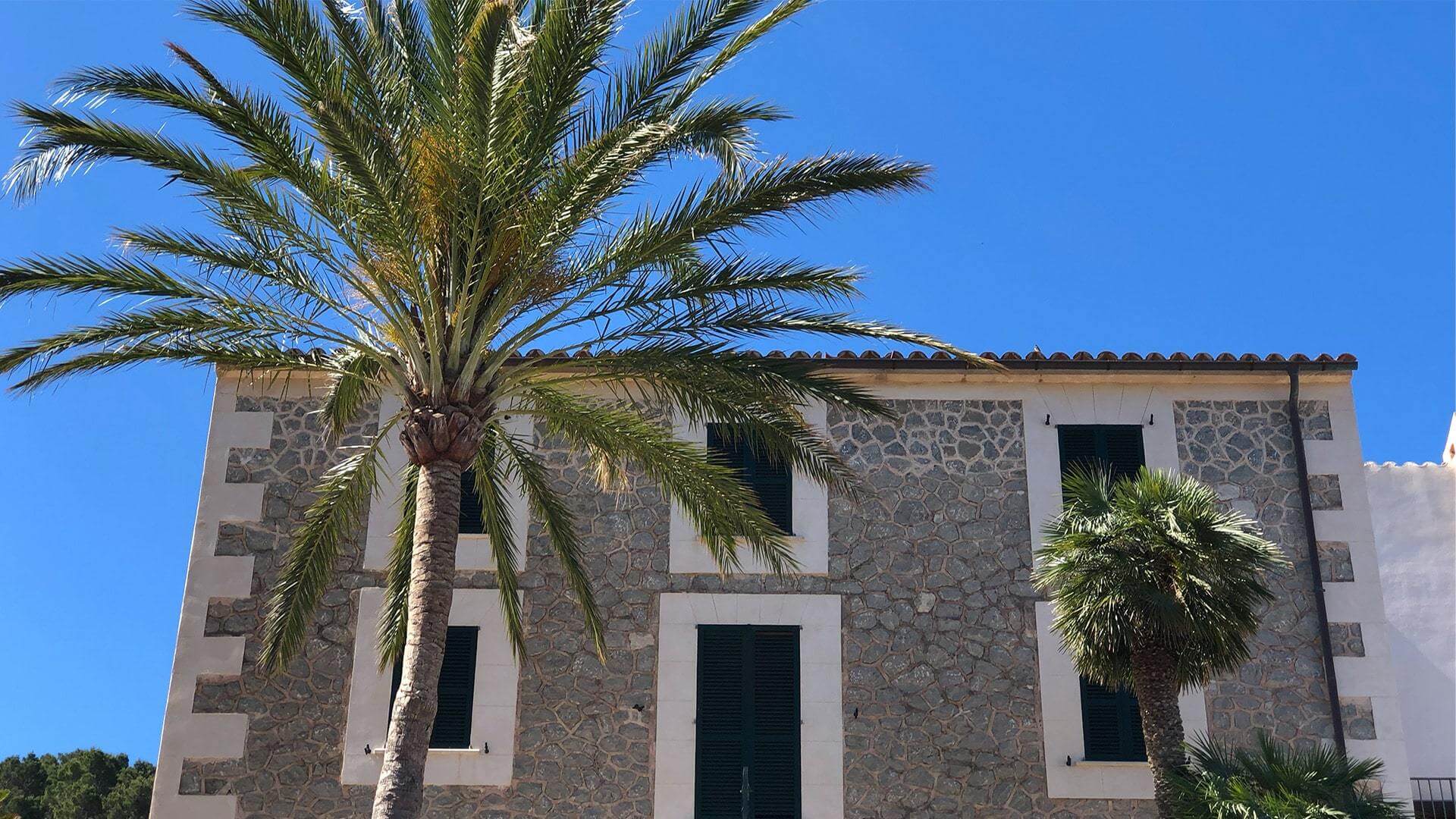 Banyalbufar house with palmtree photo Adele Chretien min