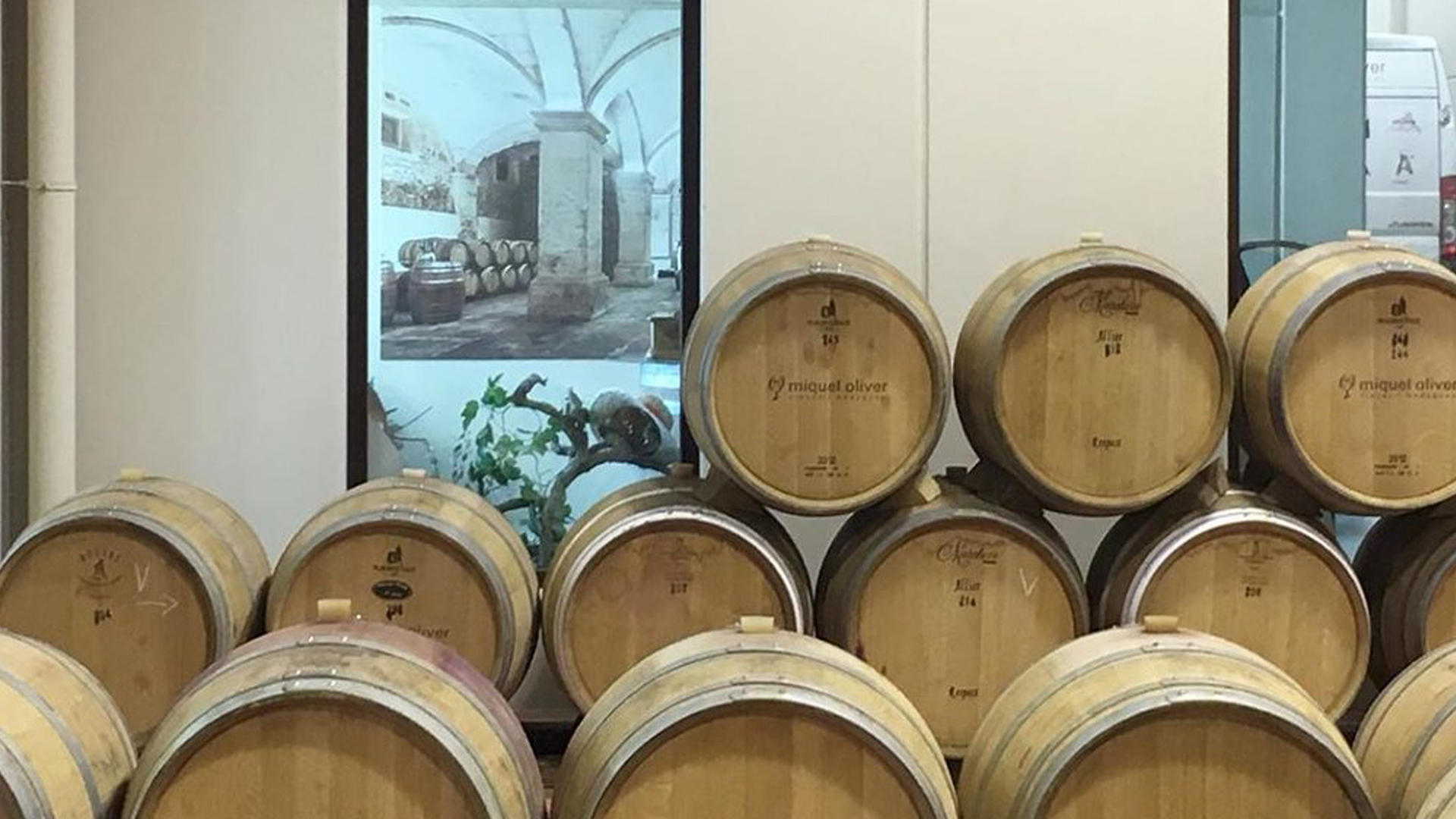 Miquel Oliver bodegues wine barrels