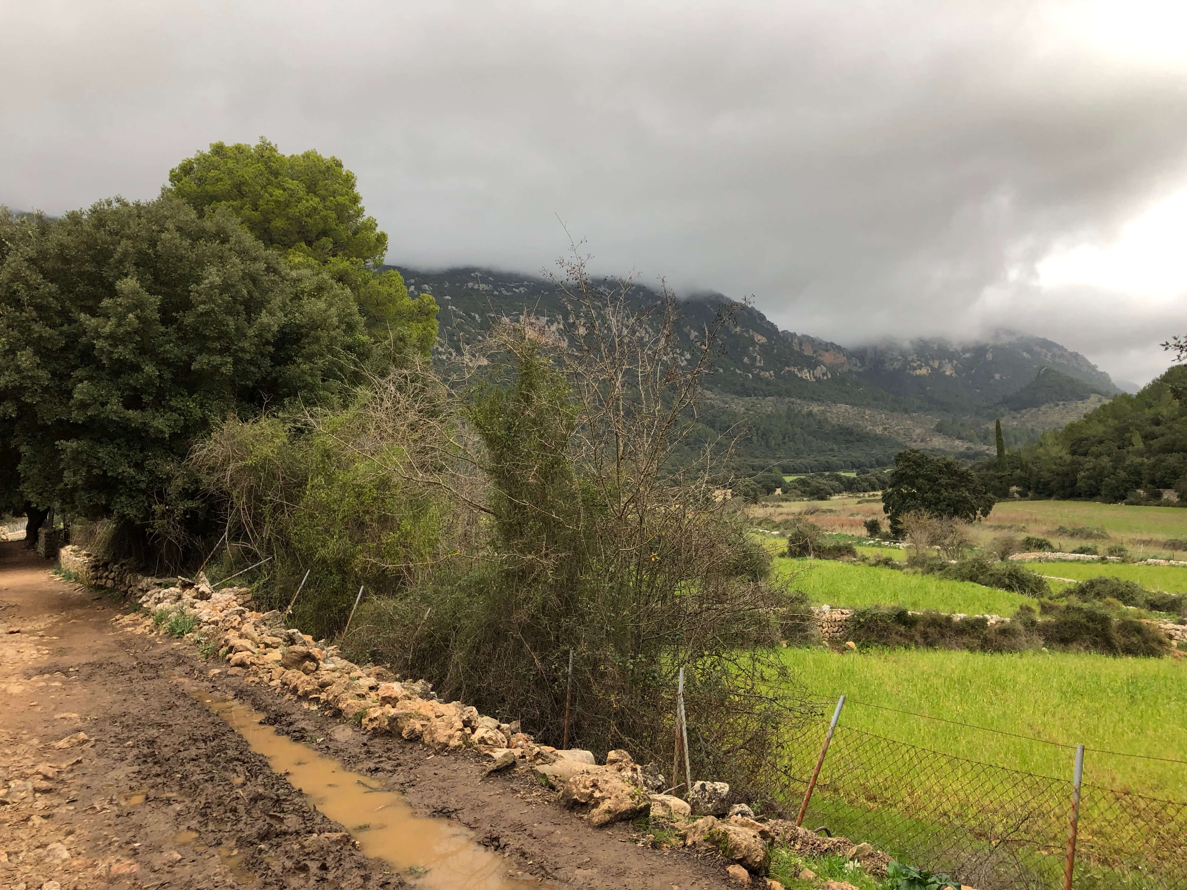 Hike Santa Maria To Orient Mallorca Img 3572